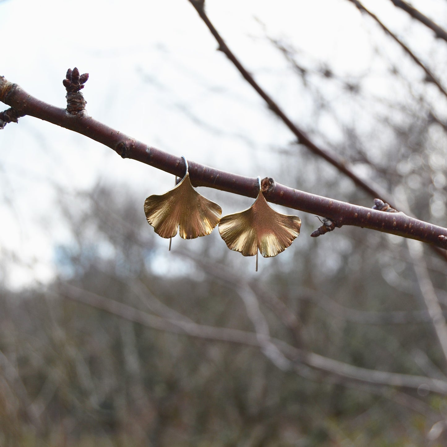 Large Brass Ginkgo Leaf Earrings